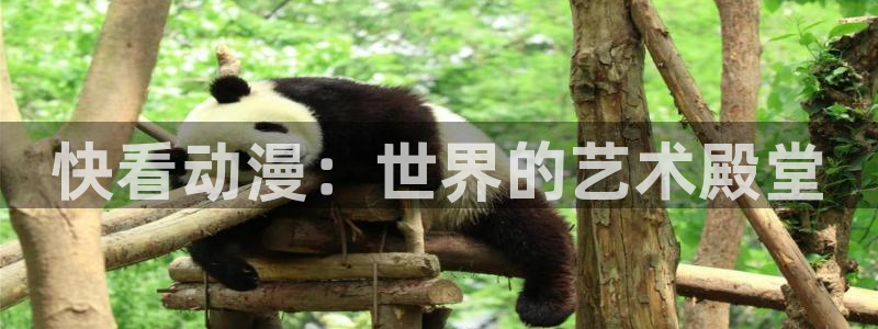 omofun在线观看：快看动漫：世界的艺术殿堂