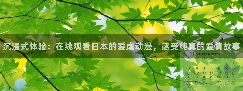 omofun动漫在哪下载：沉浸式体验：在线观看日本的爱虐动漫，感受纯真的爱情故事