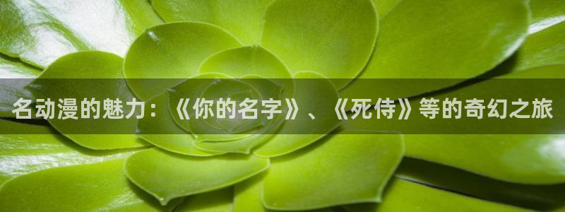omofun.：名动漫的魅力：《你的名字》、《死侍》等的奇幻之旅