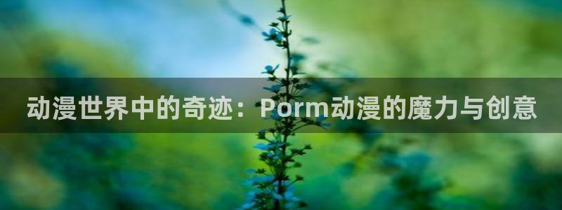 omofun旧版本：动漫世界中的奇迹：Porm动漫的魔力与创意