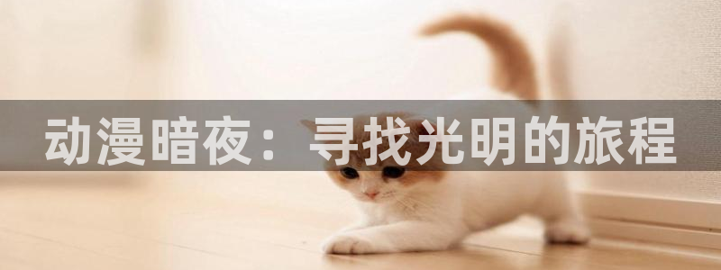 1 omofun：动漫暗夜：寻找光明的旅程