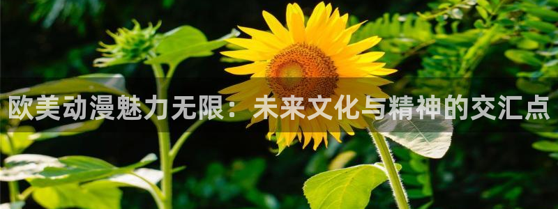 omofun 宕卧：欧美动漫魅力无限：未来文化与精神的交汇点