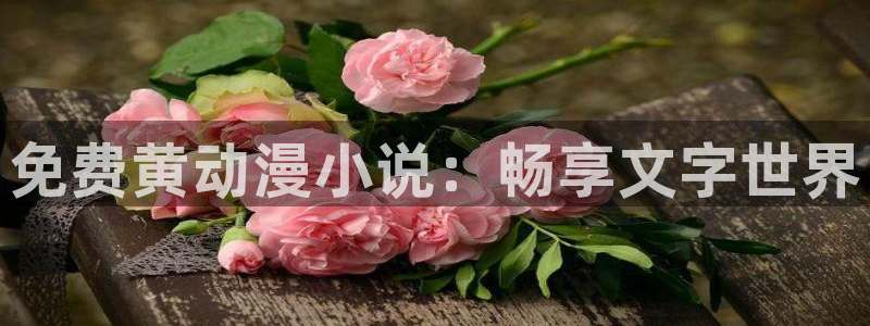 omofun?：免费黄动漫小说：畅享文字世界