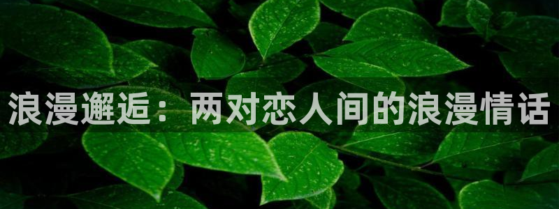 动漫软件omofun：浪漫邂逅：两对恋人间的浪漫情话