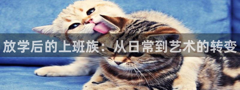 omofun动漫视频：放学后的上班族：从日常到艺术的转变