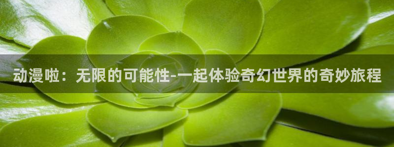 omofun宕卧：动漫啦：无限的可能性-一起体验奇幻世界的奇妙旅程