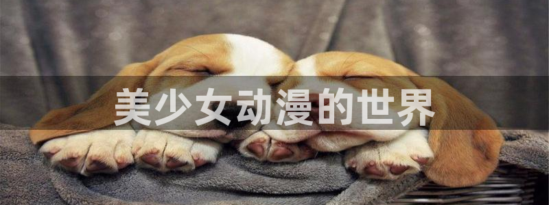 omofun动漫软件下载：美少女动漫的世界