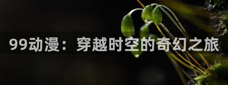o站omofun官网：99动漫：穿越时空的奇幻之旅