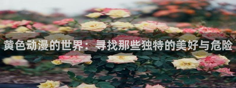omofun网页入口：黄色动漫的世界：寻找那些独特的美好与危险