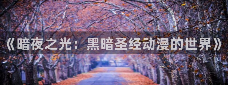 动漫共和国(omofun)：《暗夜之光：黑暗圣经动漫的世界》