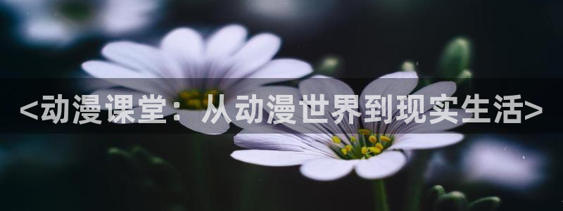 omofun官方下载入口：<动漫课堂：从动漫世界到现实生活>