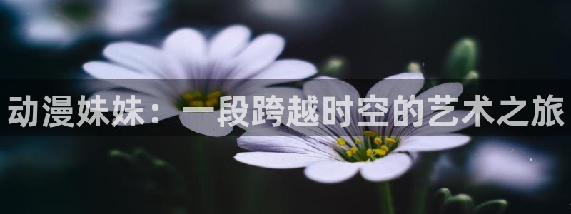 omofun官网在线