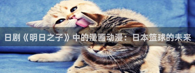 omofun纯净版下载