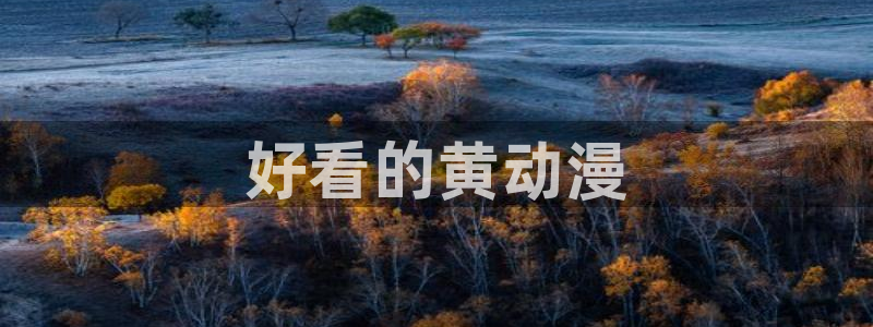 omofun苹果安装包