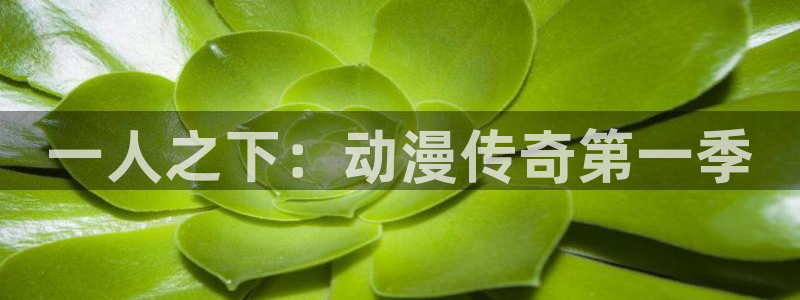 omofun网页