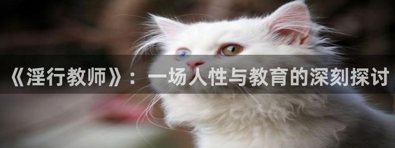 omofun可以投屏吗