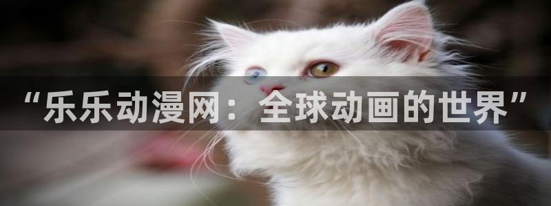 omofun下载官方正版网站